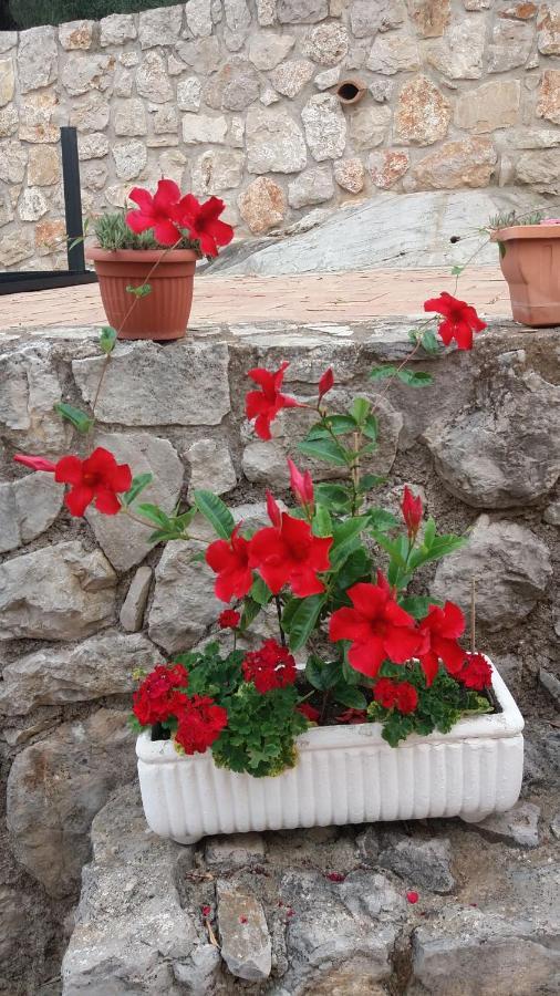 Appartamento In Collina Fondi Εξωτερικό φωτογραφία