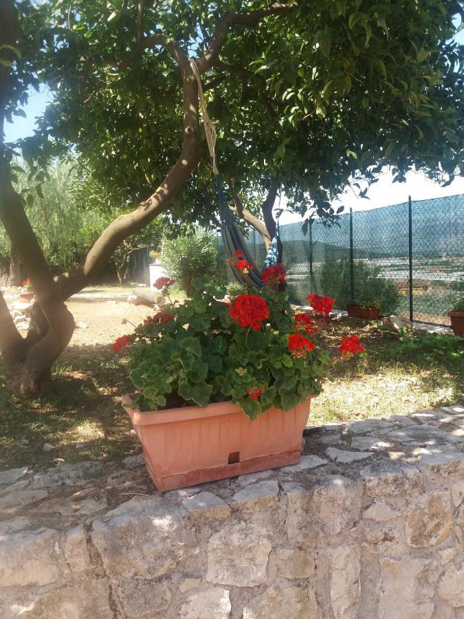 Appartamento In Collina Fondi Εξωτερικό φωτογραφία